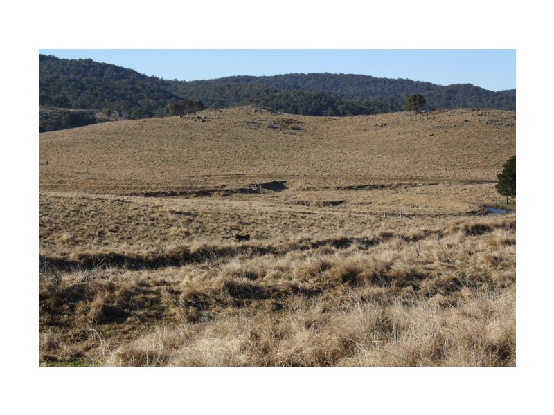 Tenterfield NSW 2372