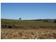 Tenterfield NSW 2372