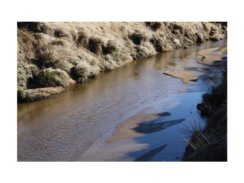 Tenterfield NSW 2372