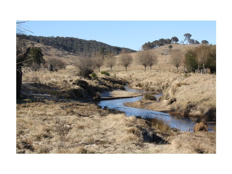Tenterfield NSW 2372