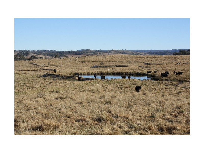 Tenterfield NSW 2372