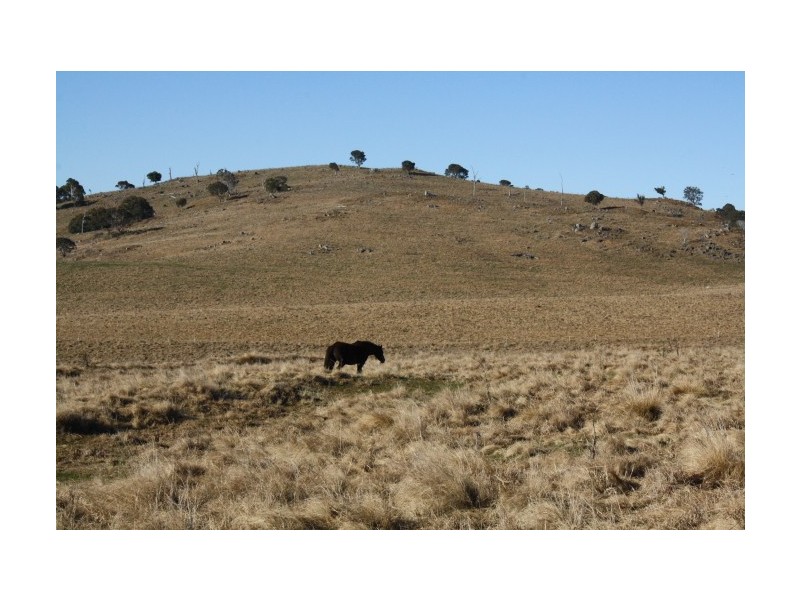 Tenterfield NSW 2372