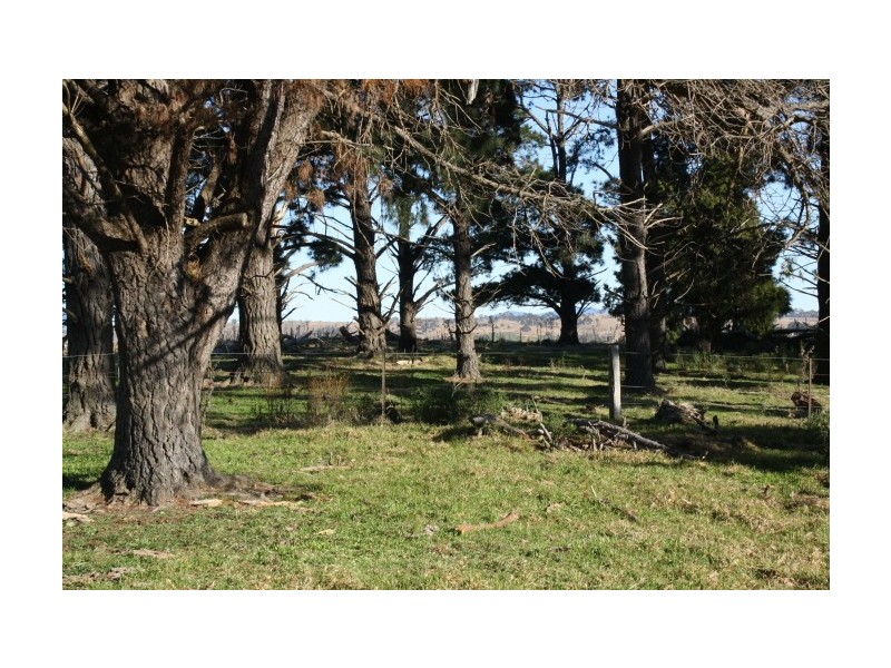 Tenterfield NSW 2372