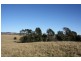 Tenterfield NSW 2372
