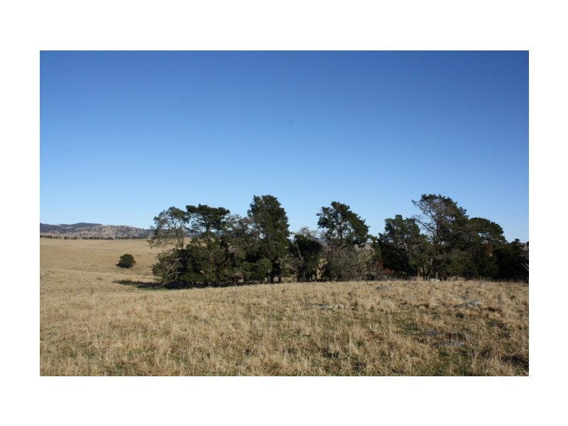 Tenterfield NSW 2372