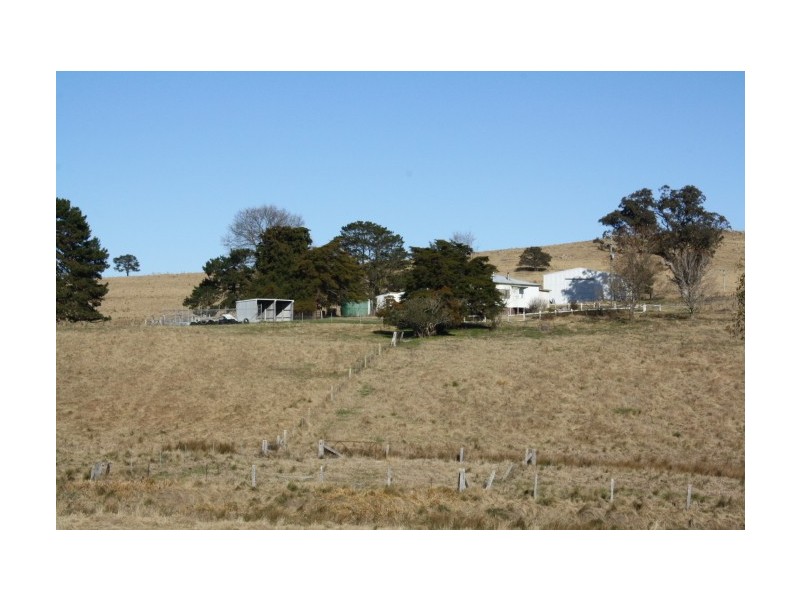 Tenterfield NSW 2372