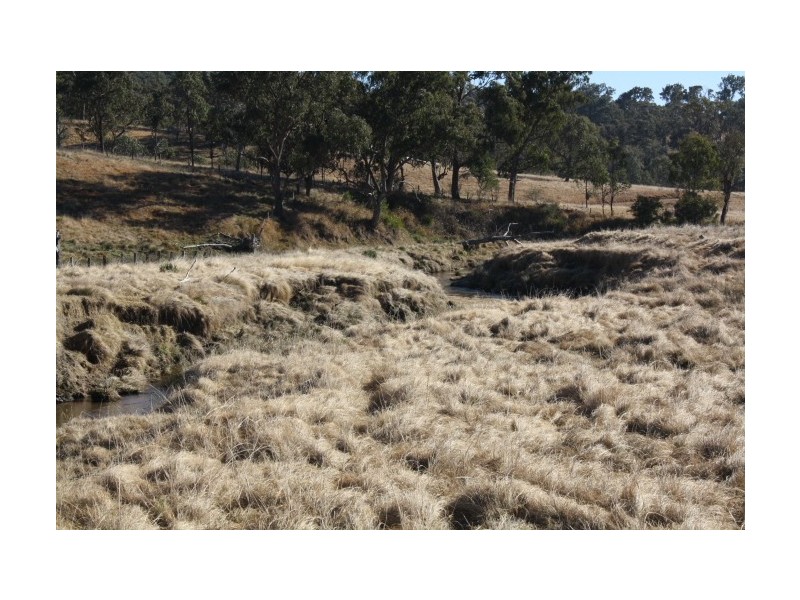 Tenterfield NSW 2372