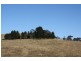 Tenterfield NSW 2372