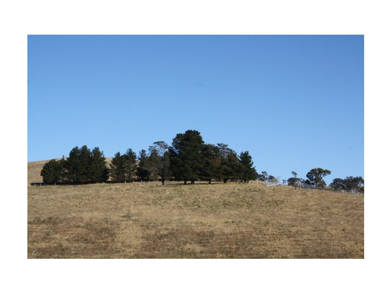 Tenterfield NSW 2372