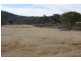 Tenterfield NSW 2372