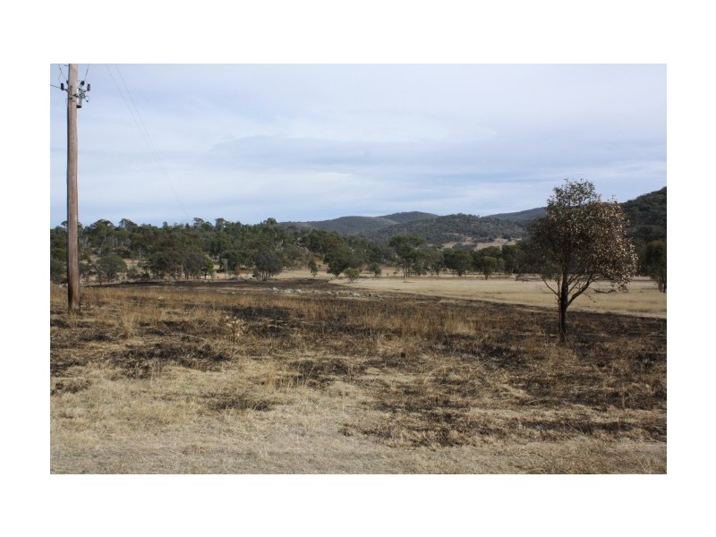 Tenterfield NSW 2372