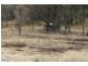 Tenterfield NSW 2372