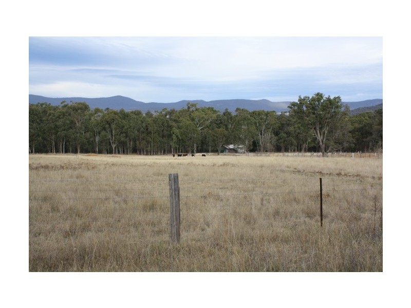 Tenterfield NSW 2372