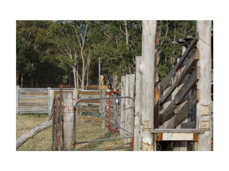 Tenterfield NSW 2372