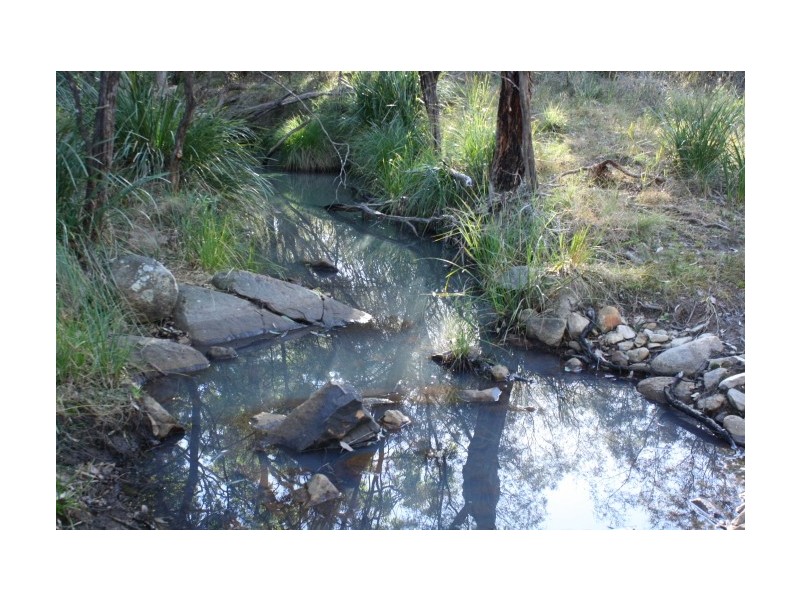 Tenterfield NSW 2372