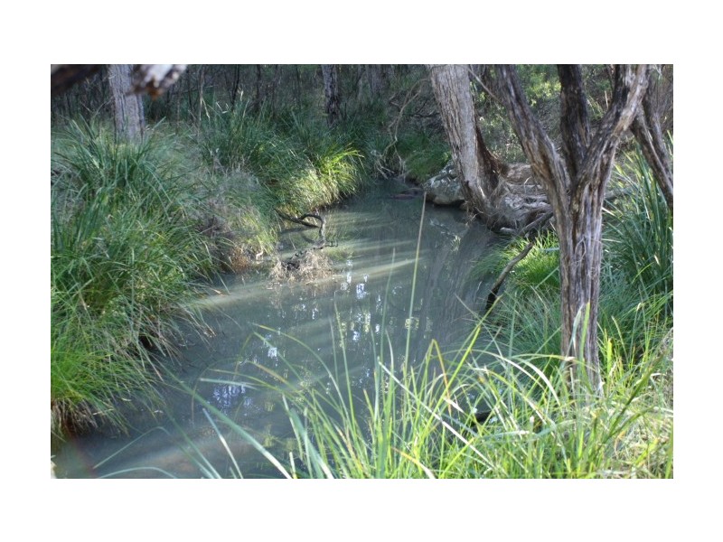 Tenterfield NSW 2372