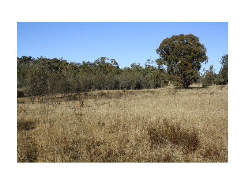 Tenterfield NSW 2372