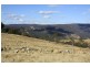 Tenterfield NSW 2372