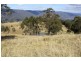 Tenterfield NSW 2372