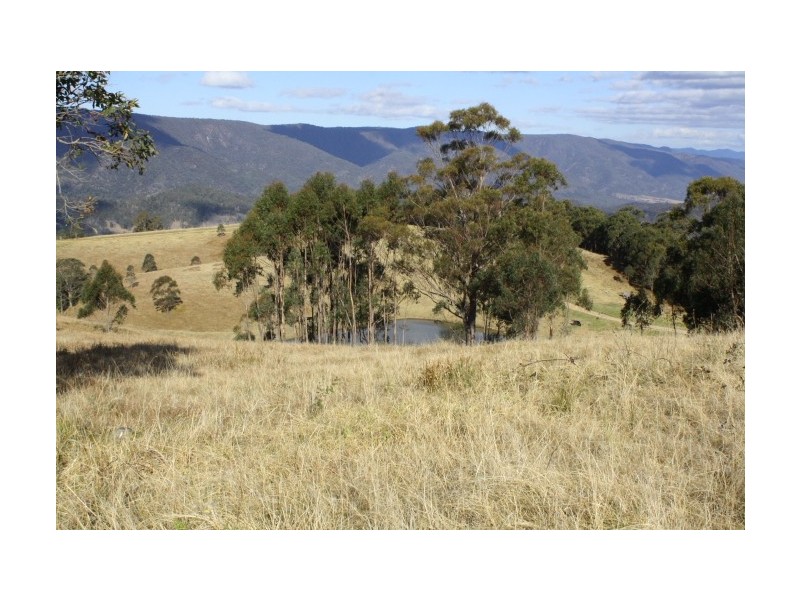 Tenterfield NSW 2372