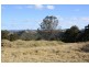 Tenterfield NSW 2372