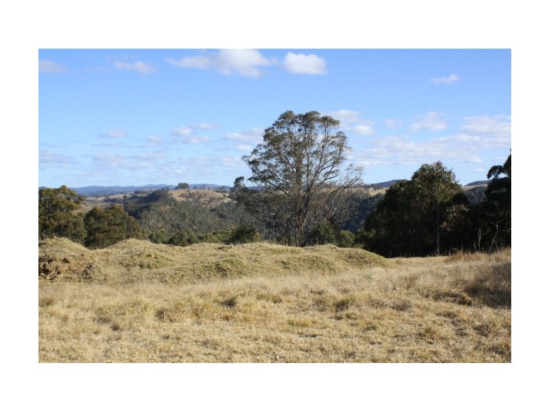 Tenterfield NSW 2372