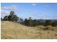 Tenterfield NSW 2372