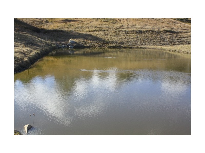 Tenterfield NSW 2372