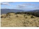 Tenterfield NSW 2372