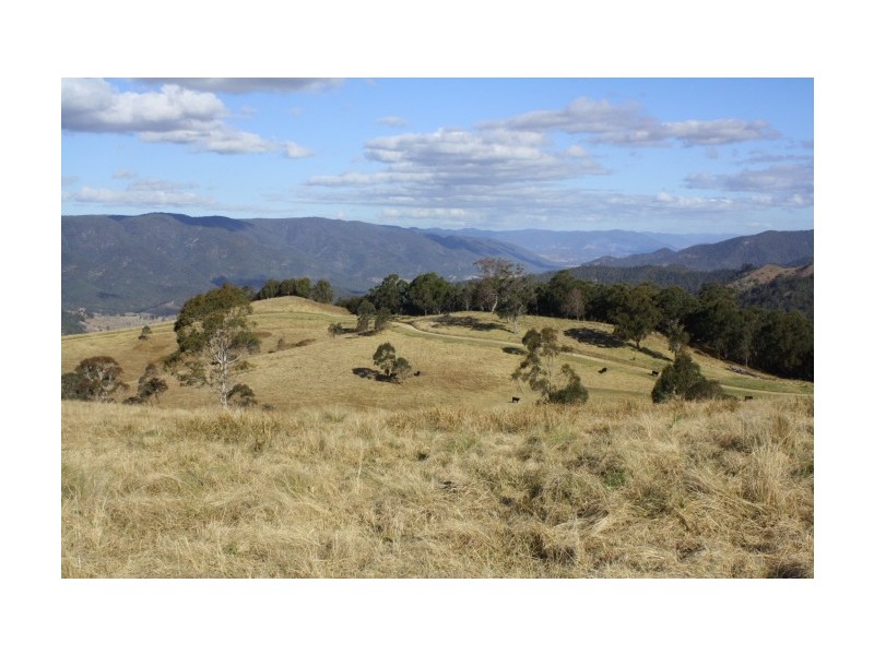 Tenterfield NSW 2372