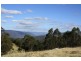 Tenterfield NSW 2372
