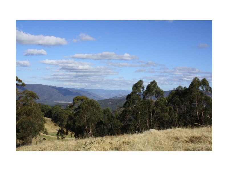 Tenterfield NSW 2372