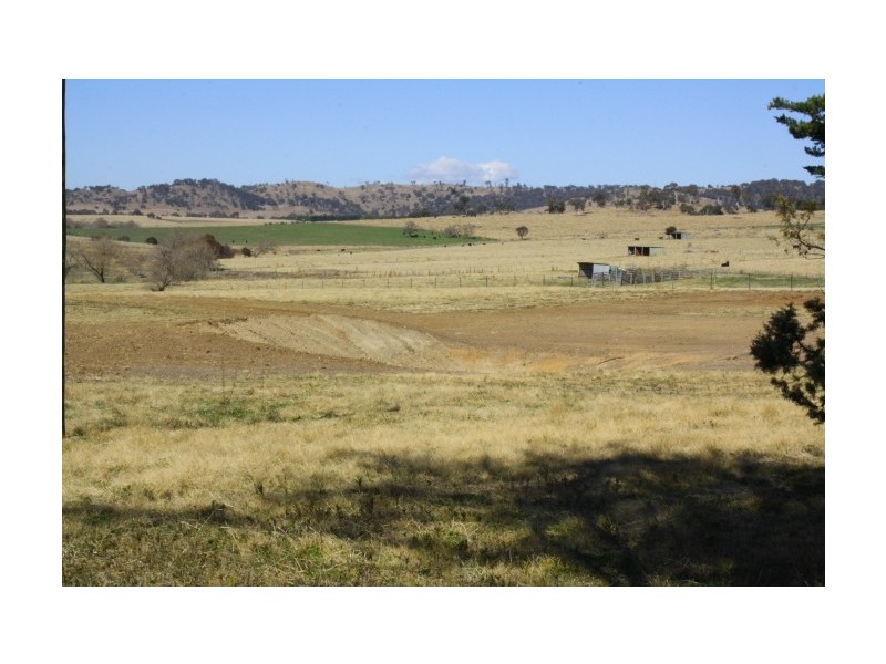 Tenterfield NSW 2372