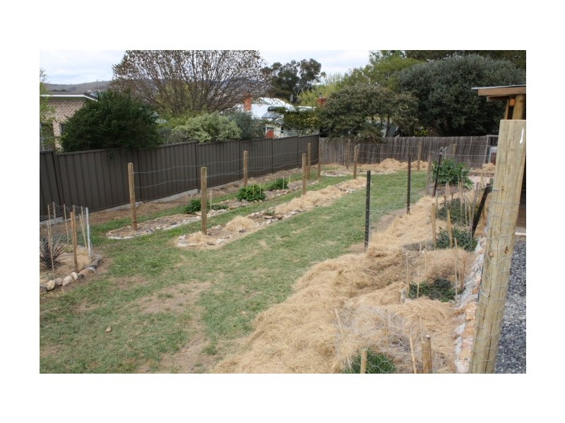 105 Cowper Street, Tenterfield NSW 2372