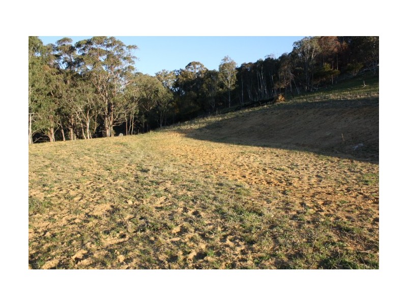 Tenterfield NSW 2372