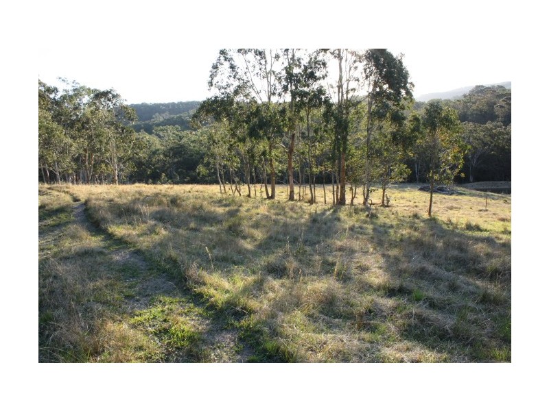 Tenterfield NSW 2372