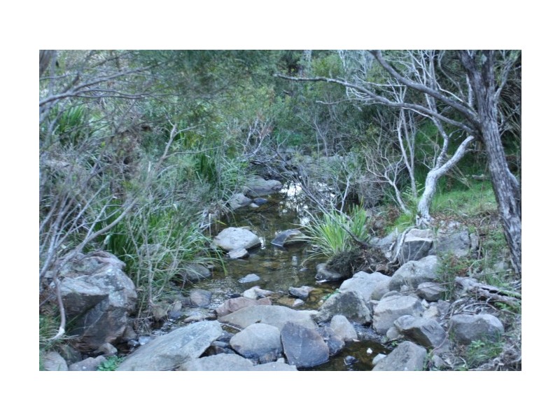 Tenterfield NSW 2372