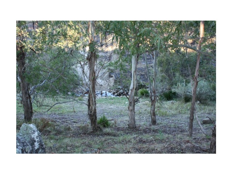 Tenterfield NSW 2372