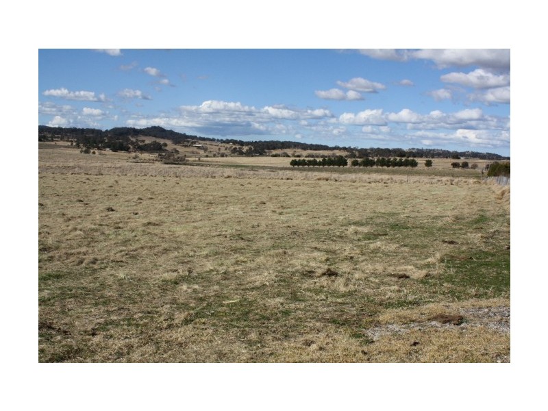 Tenterfield NSW 2372