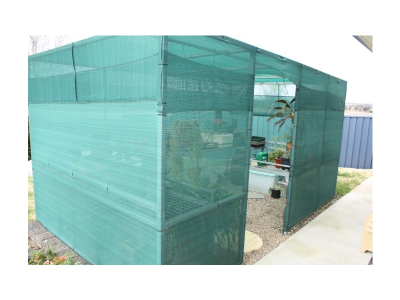 Tenterfield NSW 2372