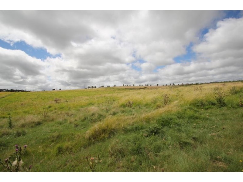 Tenterfield NSW 2372