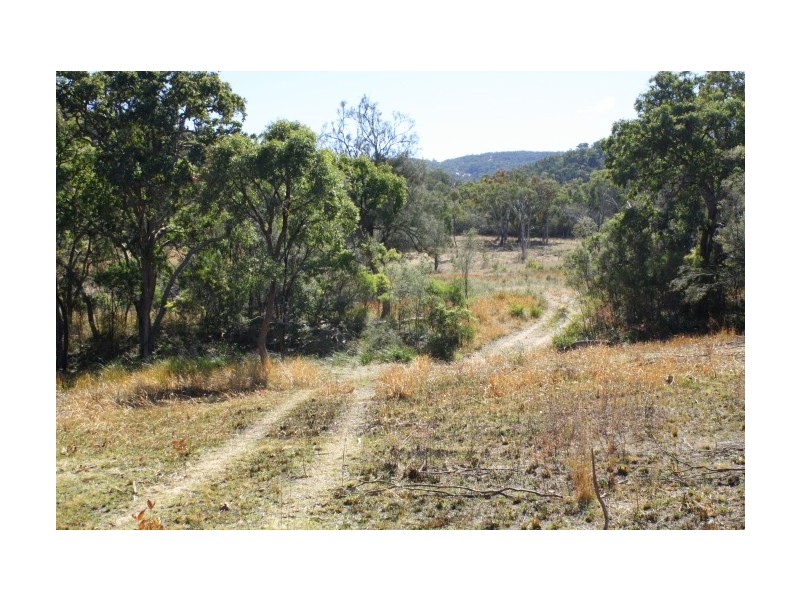 Tenterfield NSW 2372