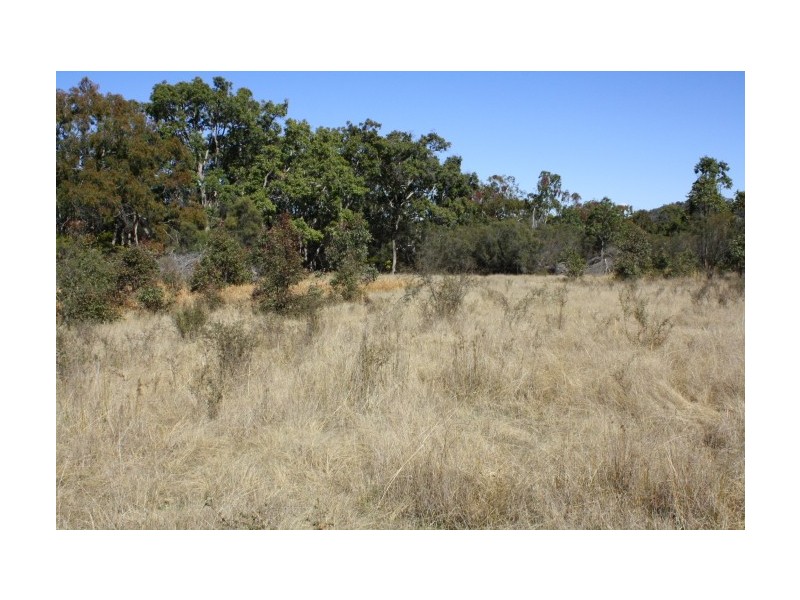 Tenterfield NSW 2372