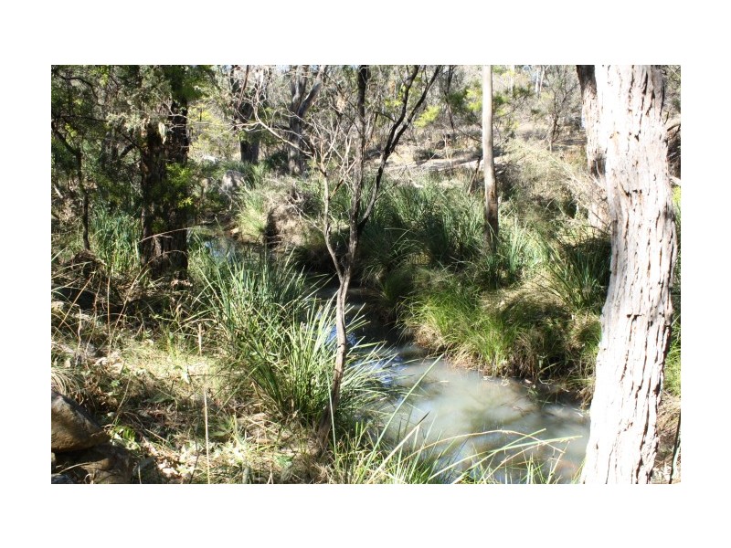 Tenterfield NSW 2372