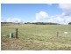 Tenterfield NSW 2372