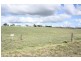 Tenterfield NSW 2372