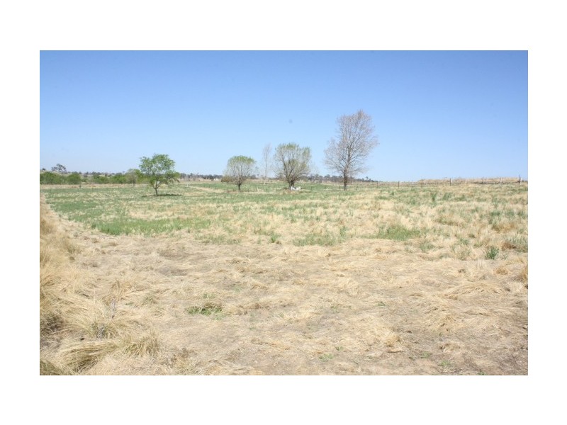 Tenterfield NSW 2372