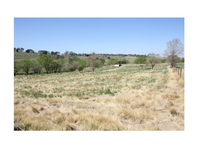 Tenterfield NSW 2372