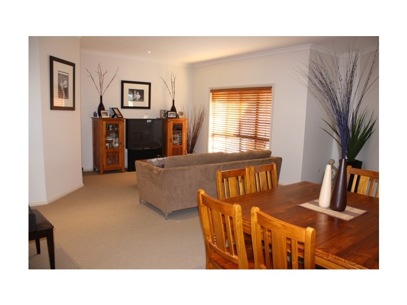 159 Bellevue Road, Tenterfield NSW 2372