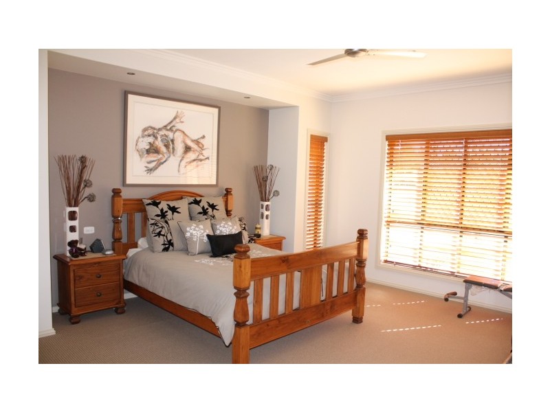 159 Bellevue Road, Tenterfield NSW 2372